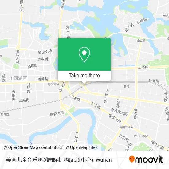 美育儿童音乐舞蹈国际机构(武汉中心) map