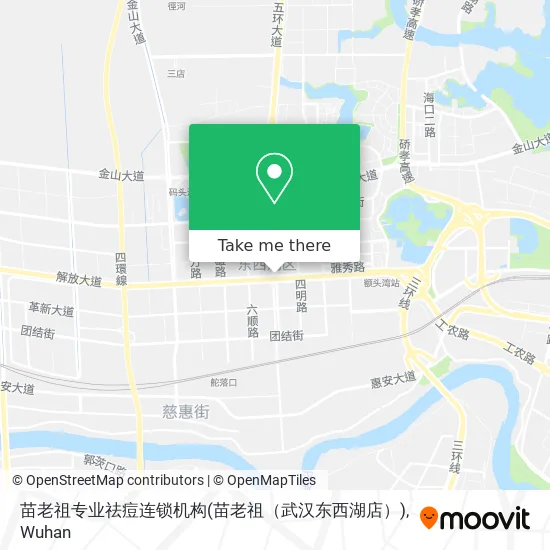 苗老祖专业祛痘连锁机构(苗老祖（武汉东西湖店）) map