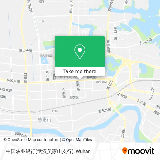 中国农业银行(武汉吴家山支行) map