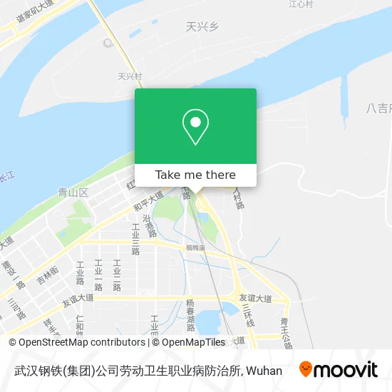 武汉钢铁(集团)公司劳动卫生职业病防治所 map