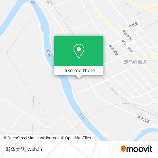 新华大队 map