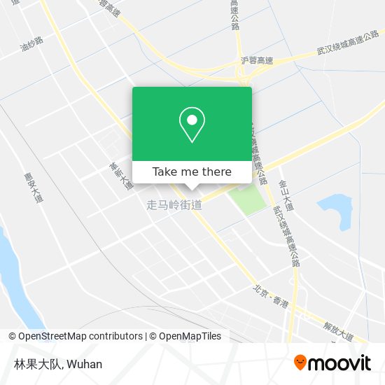林果大队 map