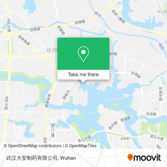 武汉大安制药有限公司 map