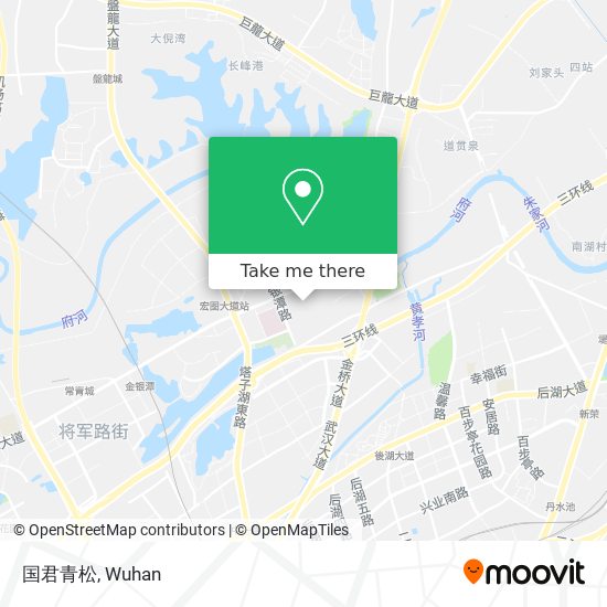 国君青松 map