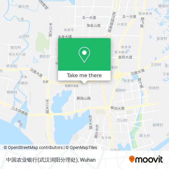 中国农业银行(武汉润阳分理处) map