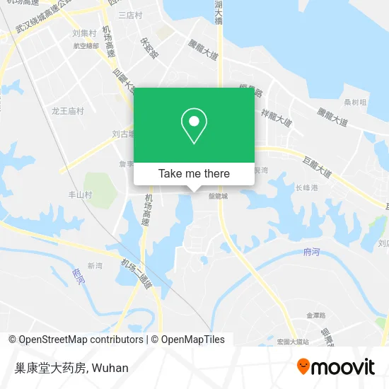 巢康堂大药房 map