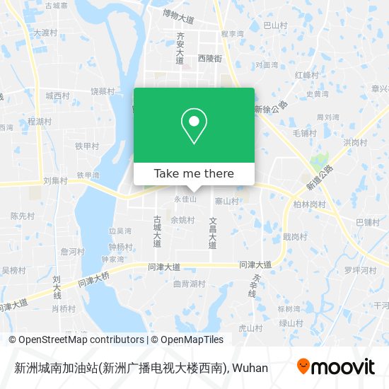 新洲城南加油站(新洲广播电视大楼西南) map