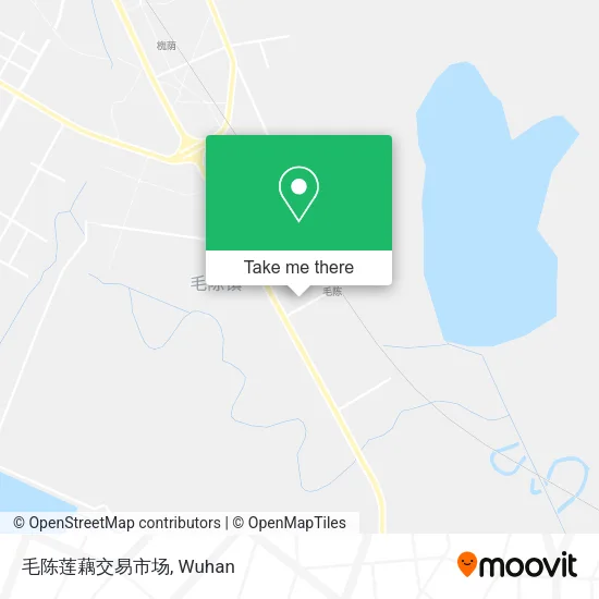毛陈莲藕交易市场 map