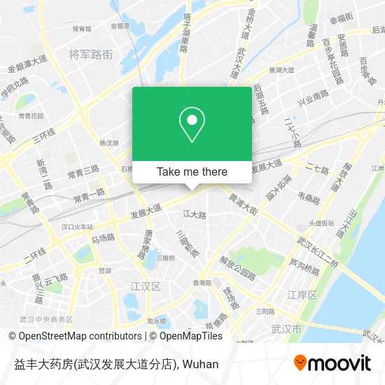益丰大药房(武汉发展大道分店) map