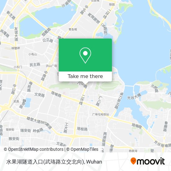 水果湖隧道入口(武珞路立交北向) map