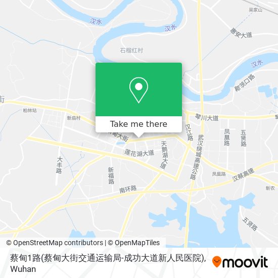 蔡甸1路(蔡甸大街交通运输局-成功大道新人民医院) map
