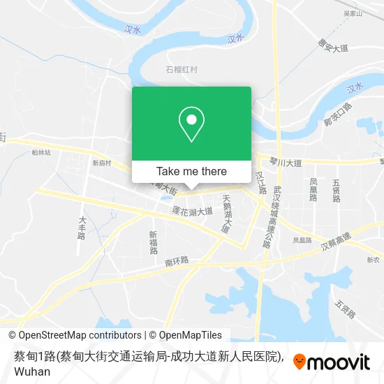 蔡甸1路(蔡甸大街交通运输局-成功大道新人民医院) map