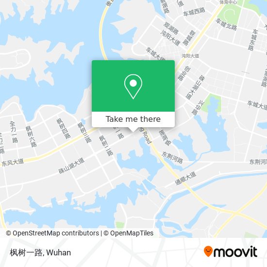 枫树一路 map