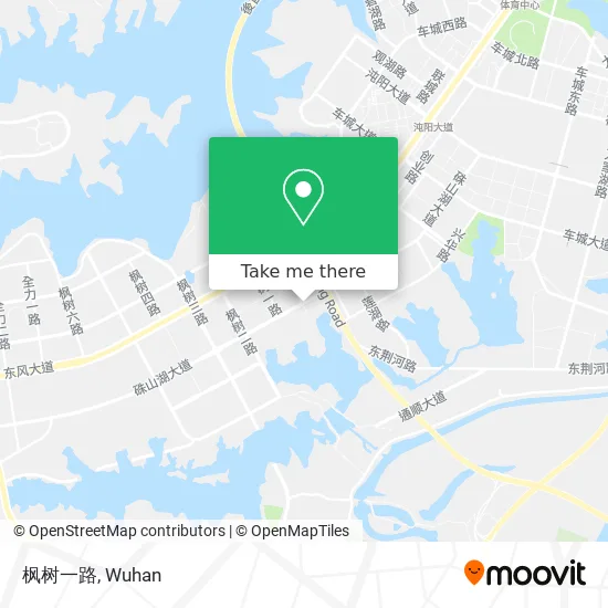 枫树一路 map
