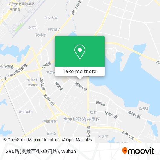 290路(奥莱西街-单洞路) map