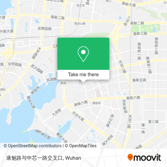 康魅路与中芯一路交叉口 map