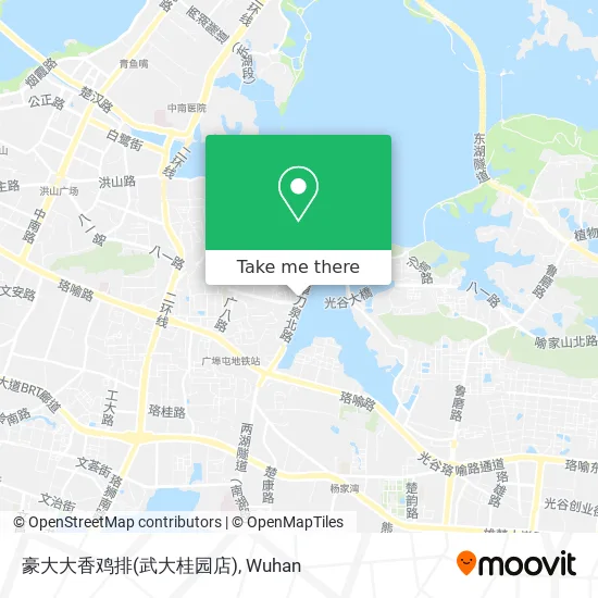 豪大大香鸡排(武大桂园店) map