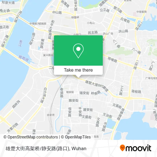 雄楚大街高架桥/静安路(路口) map