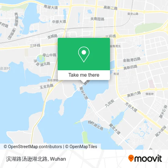 滨湖路汤逊湖北路 map