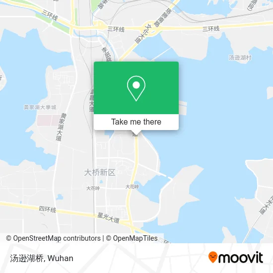 汤逊湖桥 map