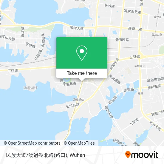 民族大道/汤逊湖北路(路口) map