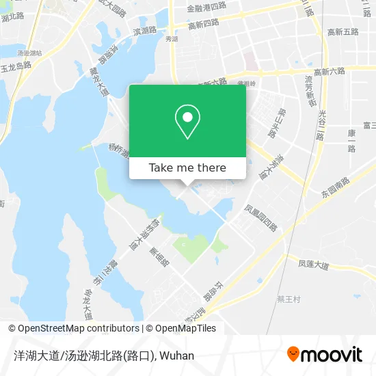 洋湖大道/汤逊湖北路(路口) map