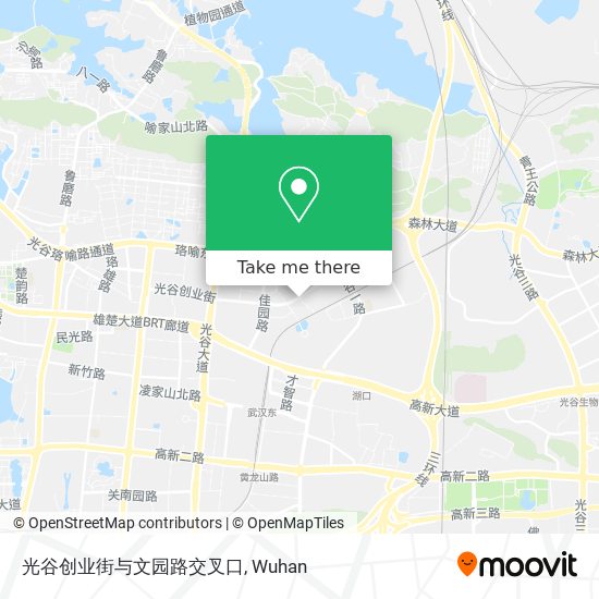 光谷创业街与文园路交叉口 map