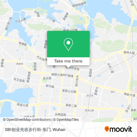 SBI创业光谷步行街-东门 map