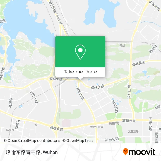 珞喻东路青王路 map