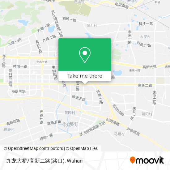 九龙大桥/高新二路(路口) map