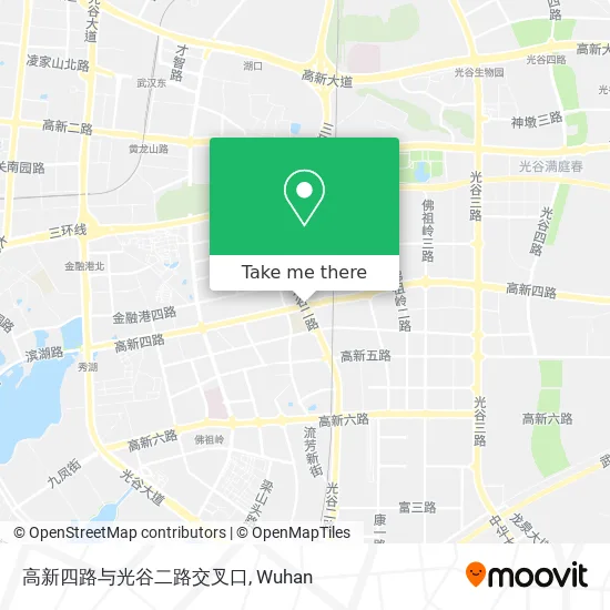 高新四路与光谷二路交叉口 map