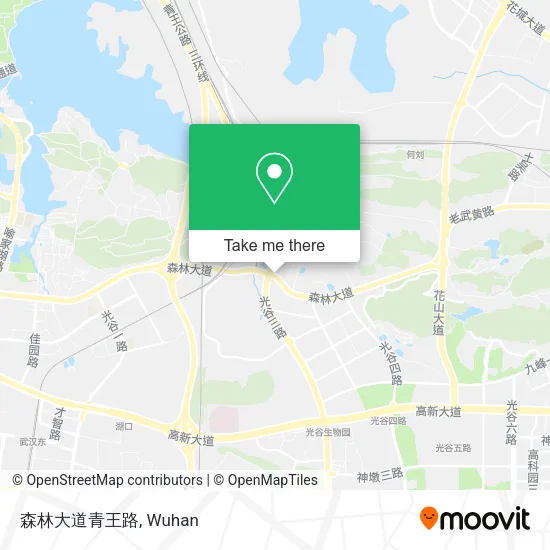 森林大道青王路 map