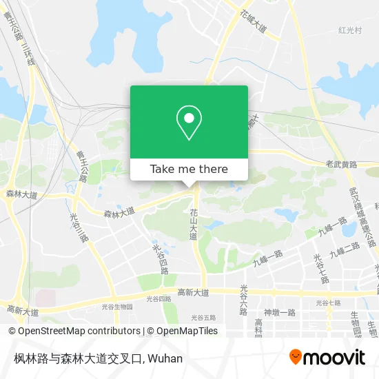 枫林路与森林大道交叉口 map