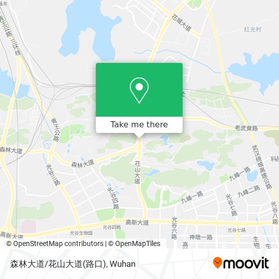 森林大道/花山大道(路口) map