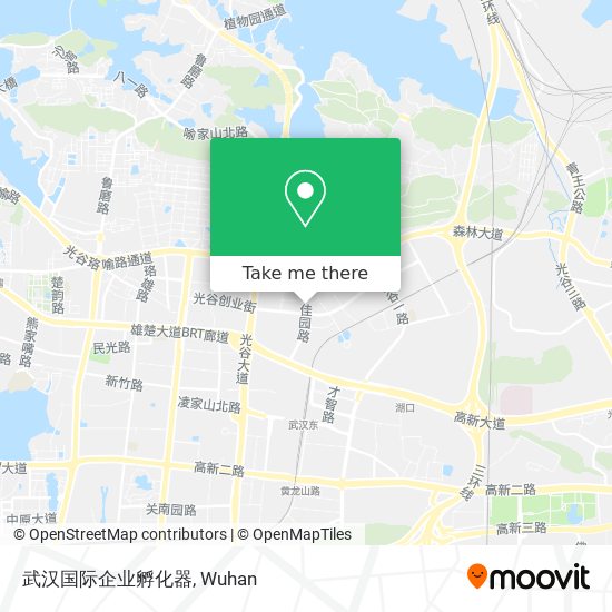 武汉国际企业孵化器 map