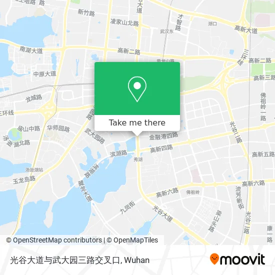 光谷大道与武大园三路交叉口 map