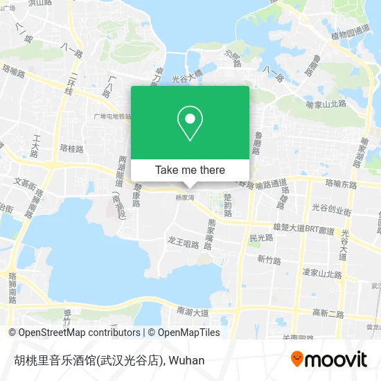 胡桃里音乐酒馆(武汉光谷店) map