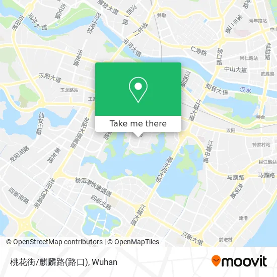 桃花街/麒麟路(路口) map