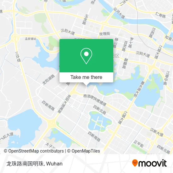 龙珠路南国明珠 map