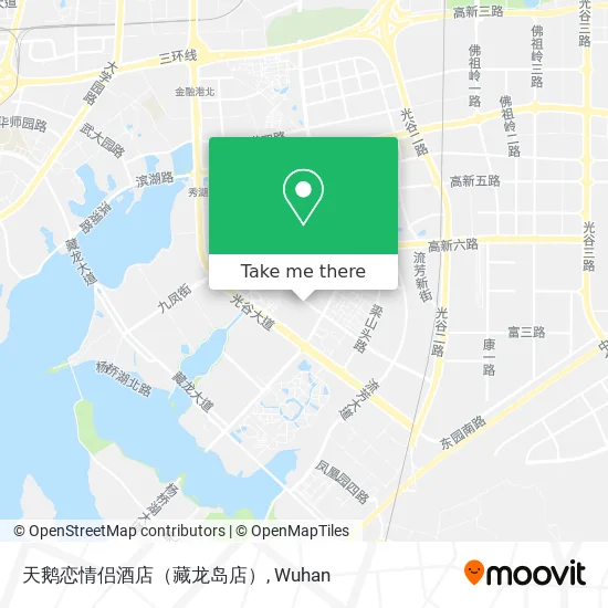 天鹅恋情侣酒店（藏龙岛店） map