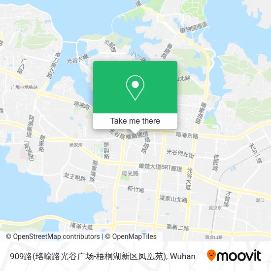 909路(珞喻路光谷广场-梧桐湖新区凤凰苑) map