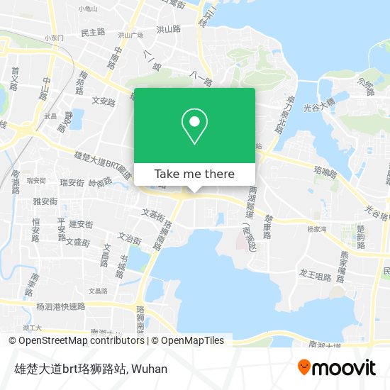 雄楚大道brt珞狮路站 map