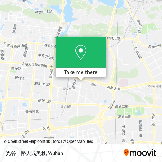 光谷一路天成美雅 map
