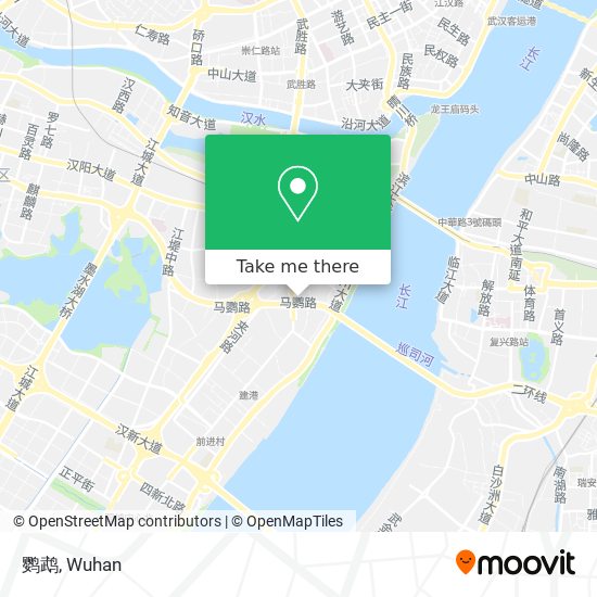 鹦鹉 map