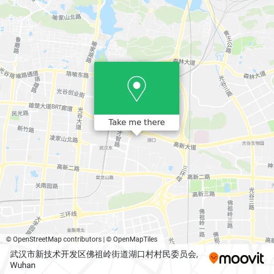 武汉市新技术开发区佛祖岭街道湖口村村民委员会 map