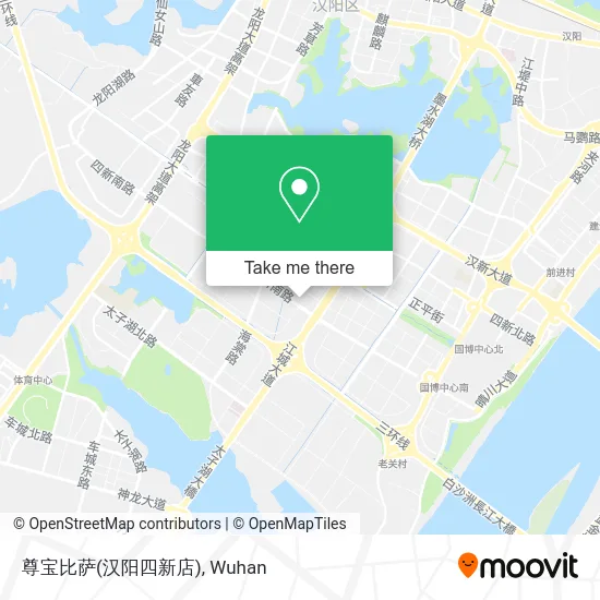 尊宝比萨(汉阳四新店) map