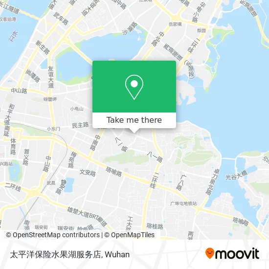太平洋保险水果湖服务店 map