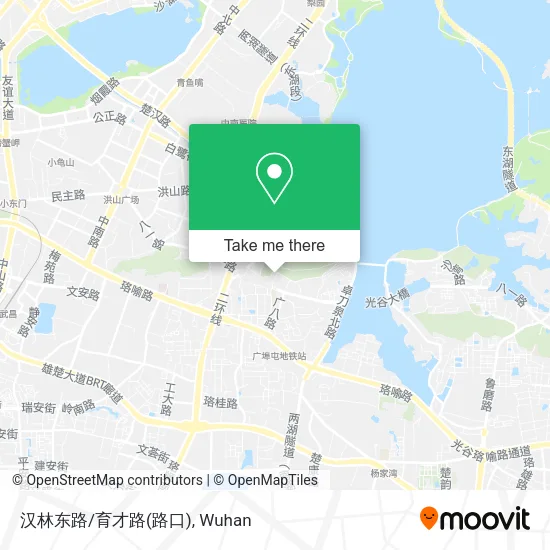 汉林东路/育才路(路口) map