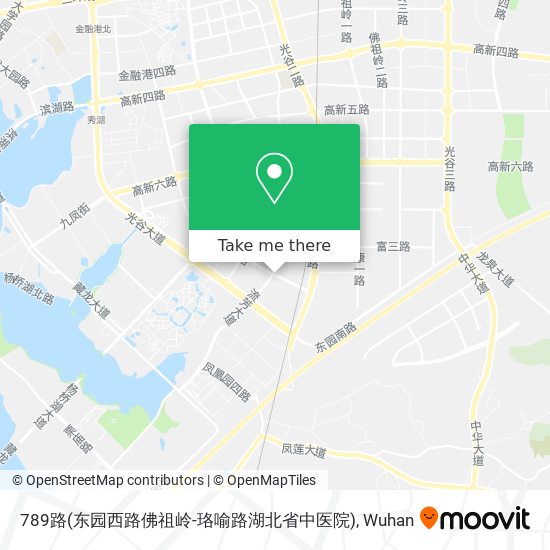 789路(东园西路佛祖岭-珞喻路湖北省中医院) map