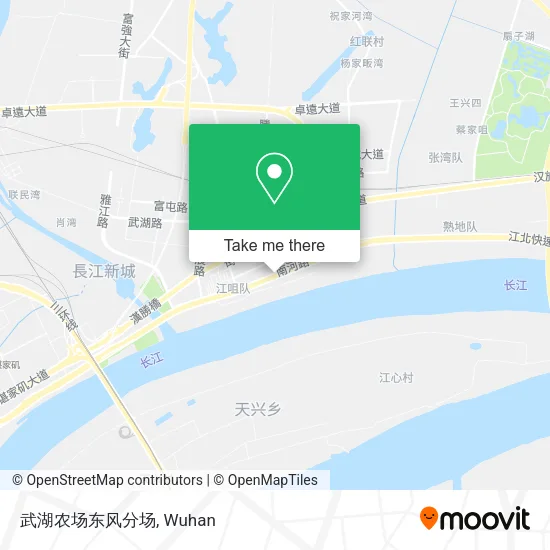 武湖农场东风分场 map